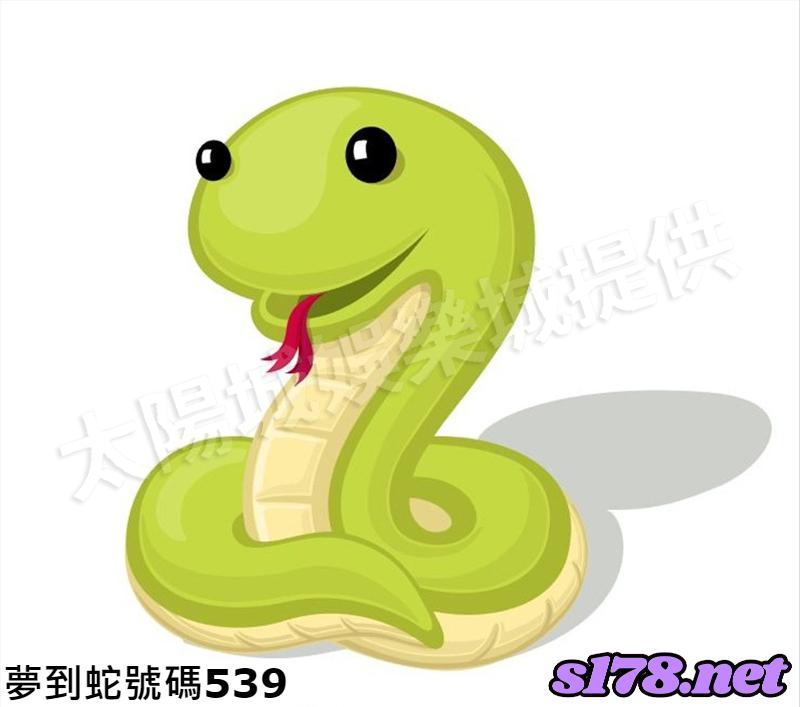 夢到蛇號碼539