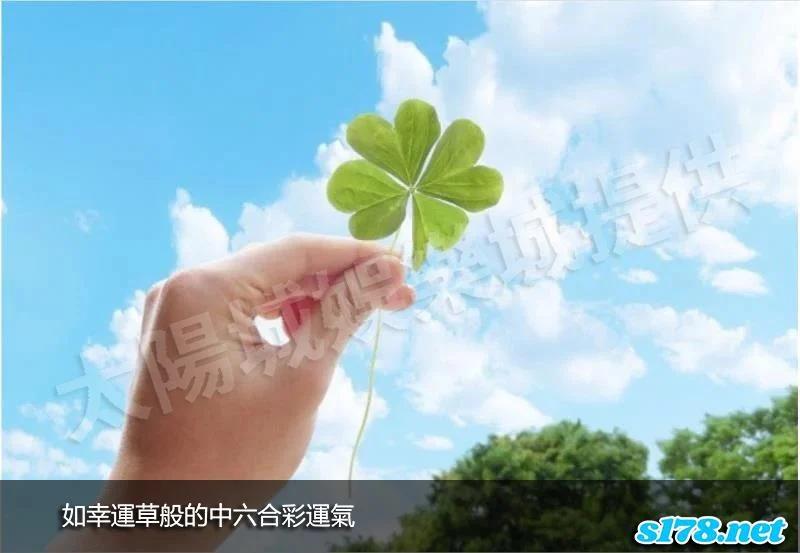 中六合彩運氣