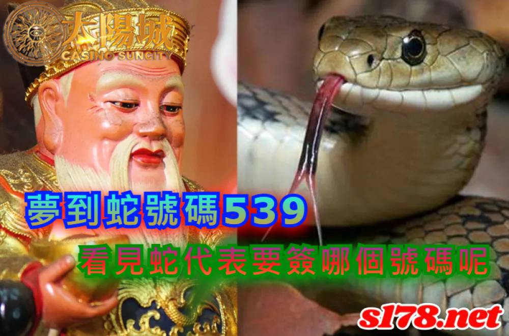 夢到蛇號碼539，看見蛇代表要你簽哪個號碼呢？