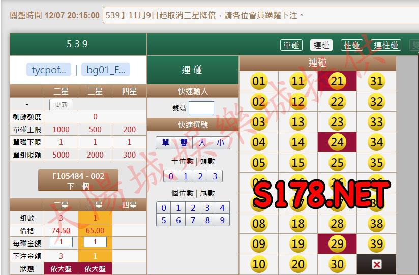 539版路下注參考圖2