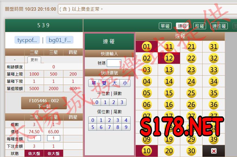 539版路下注參考圖2